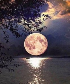 Beautiful Full Moon on Lake Landscape Paint By Numbers