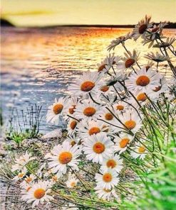Daisy Field on Lakeside Flowers Paint By Numbers
