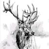 Deer Monochrome Paint By Numbers