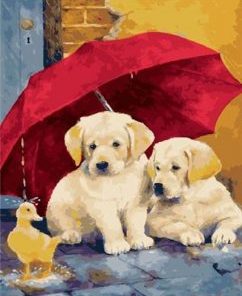 Dogs With Umbrela Paint By Numbers