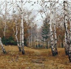 Forest Landscape Paint By Numbers