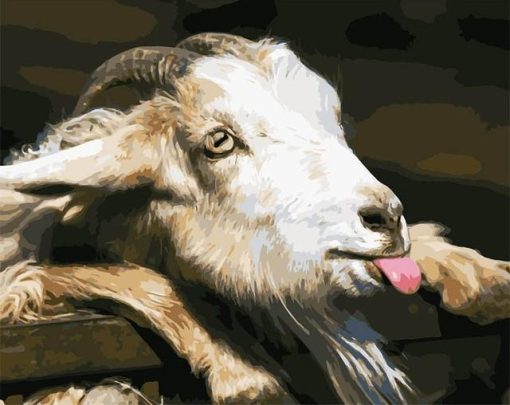 Goat Tongue paint by numbers