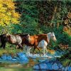 Group of Horses Cross the river paint by numbers