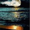 Full Moon Paint By Numbers