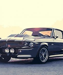 Mustang Shelby Paint By Numbers