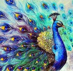 Colorful Peacock Paint By Numbers