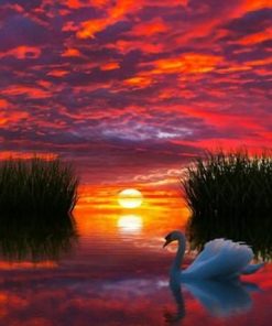 Sunset Reflection on Lake Landscape Paint By Numbers