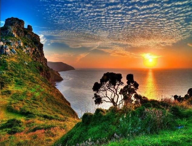 Peinture-par-num-ros-cadres-coloriage-par-num-ros-photos-d-cor-maison-toile-peinture-par-1.jpg_640x640_8-1