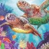 Turtle Family Paint By Numbers