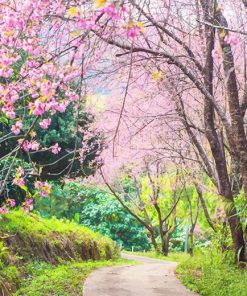 Cherry Blossom Tree Paint By Numbers