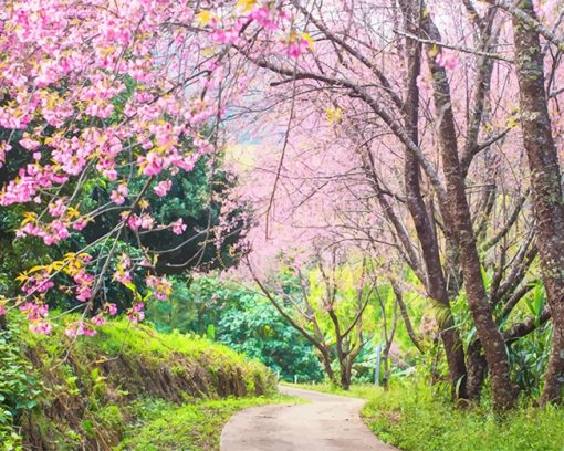 Cherry Blossom Tree Paint By Numbers