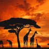 Giraffes Silhouette Paint By Numbers