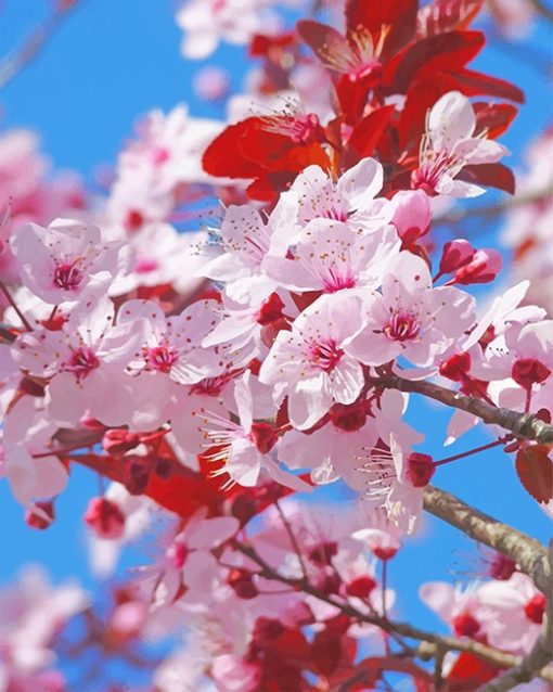 Japanese Blossom Paint By Numbers