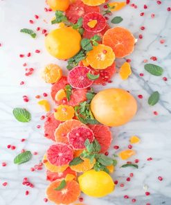 Citrus Salad Paint By Numbers