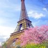 Eiffel Spring Paint By Numbers