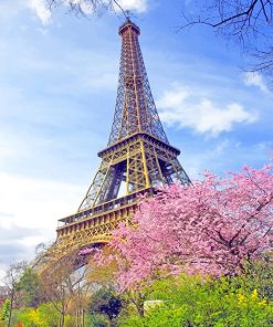 Eiffel Spring Paint By Numbers