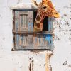 Giraffe Window Paint By Numbers