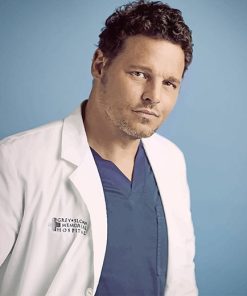 Alex Karev Paint By Numbers