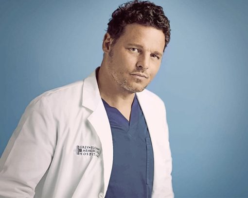 Alex Karev Paint By Numbers