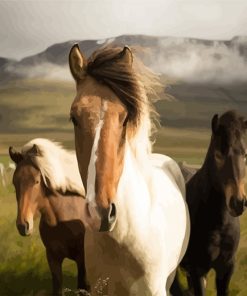 Island Horse Paint By Numbers