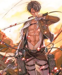 Levi Anime Paint By Numbers