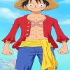 Monkey D Luffy Paint By Numbers