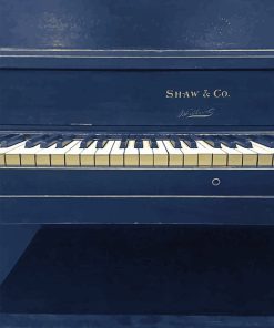 Shaw And Co Paint By Numbers