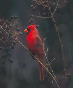 Red Cardinal Paint By Numbers