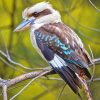 Woodpecker Bird Paint By Numbers