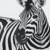 Zebra Monochrome Paint By Numbers