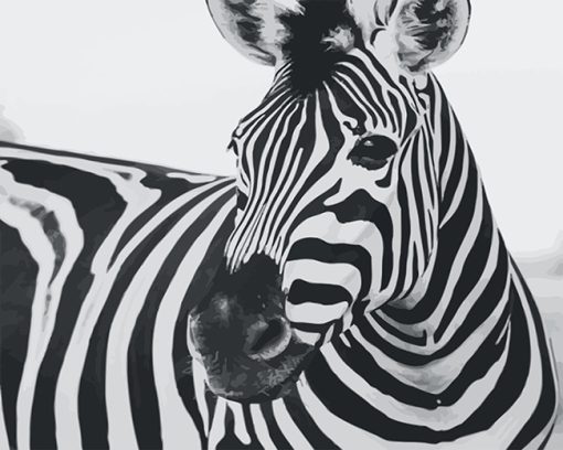 Zebra Monochrome Paint By Numbers