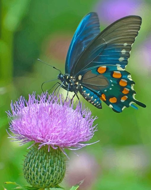 Butterfly Monarch Paint By Numbers