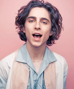 Timothee Photoshoot Paint By Numbers