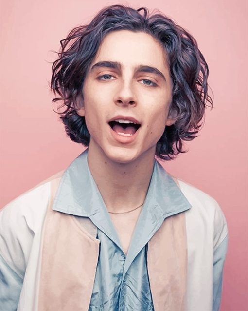 Timothee Photoshoot Paint By Numbers