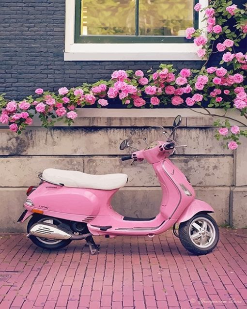 Pink Scooter Paint By Numbers