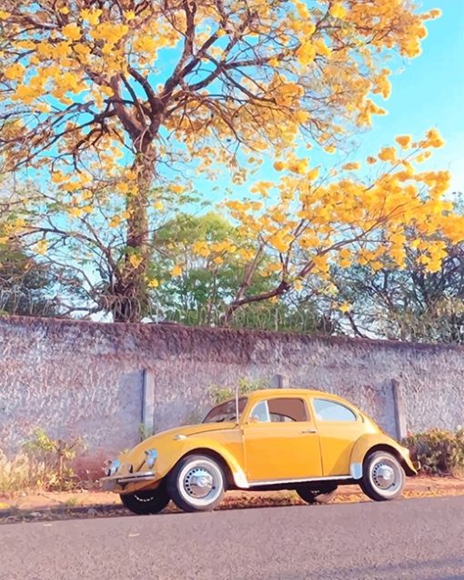 Yellow Car Paint By Numbers