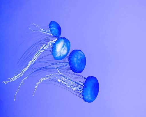 Blue Jellyfish Paint By Numbers