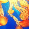 Jellyfish Underwater Paint By Numbers