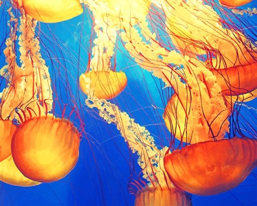 Jellyfish Underwater Paint By Numbers