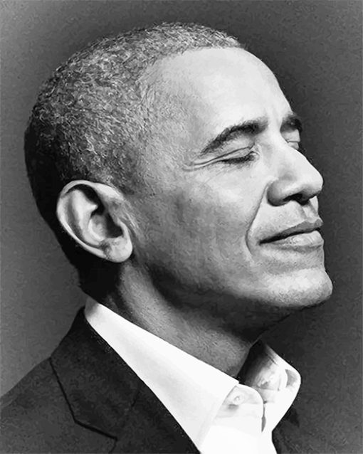 Obama Monochrome Paint By Numbers