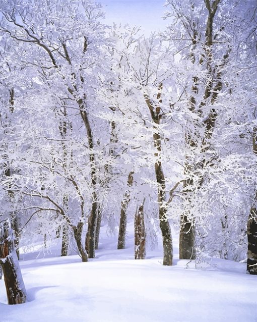 Trees Covered Snow Paint By Numbers