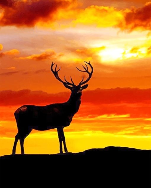 Deer Sunset Paint By Numbers