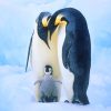 Penguin Family Paint By Numbers