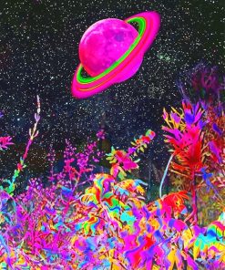 Trippy Planet Paint By Numbers