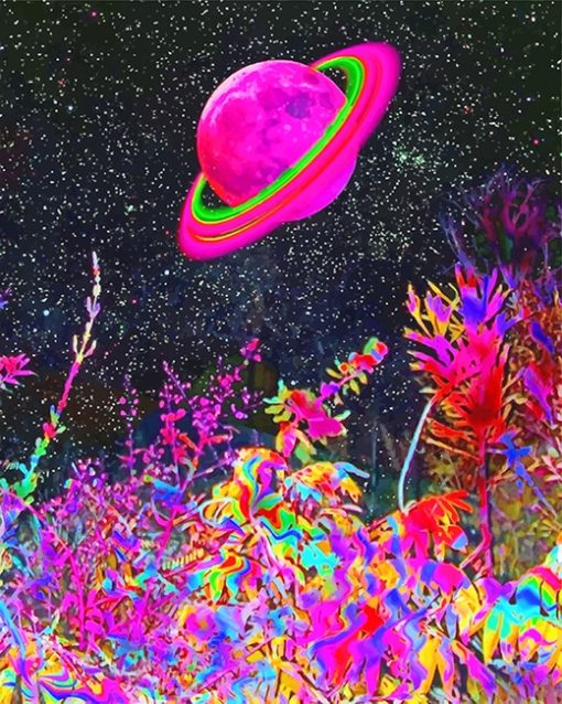 Trippy Planet Paint By Numbers