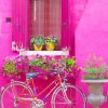 Bicycle In Burano Paint By Numbers