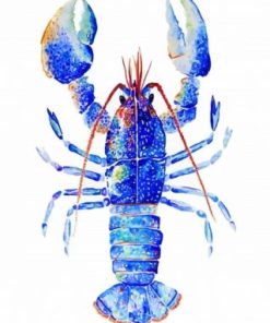 Blue Lobster Art Paint By Numbers