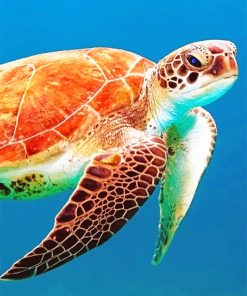 Brown Sea Turtle Paint By Numbers