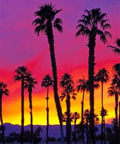 California Sunrise Paint By Numbers