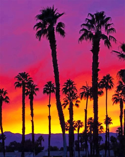 California Sunrise Paint By Numbers